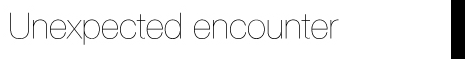 Helvetica Neueの見本「Unexpected encounter」