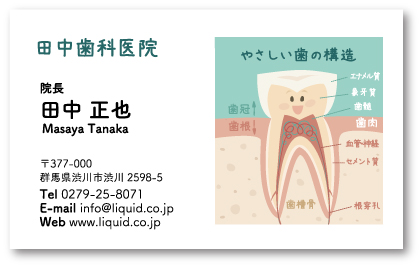 歯科医師名刺71　やさしい歯の構造